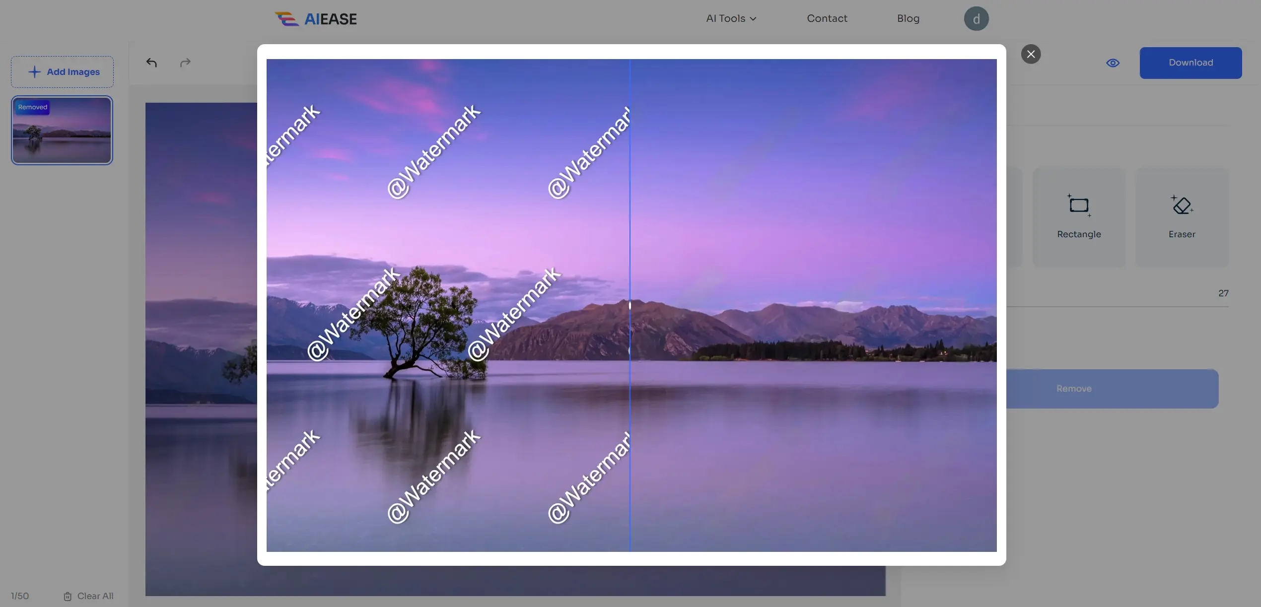 previsualice el resultado de la eliminación de la marca de agua de la imagen con ai facilidad