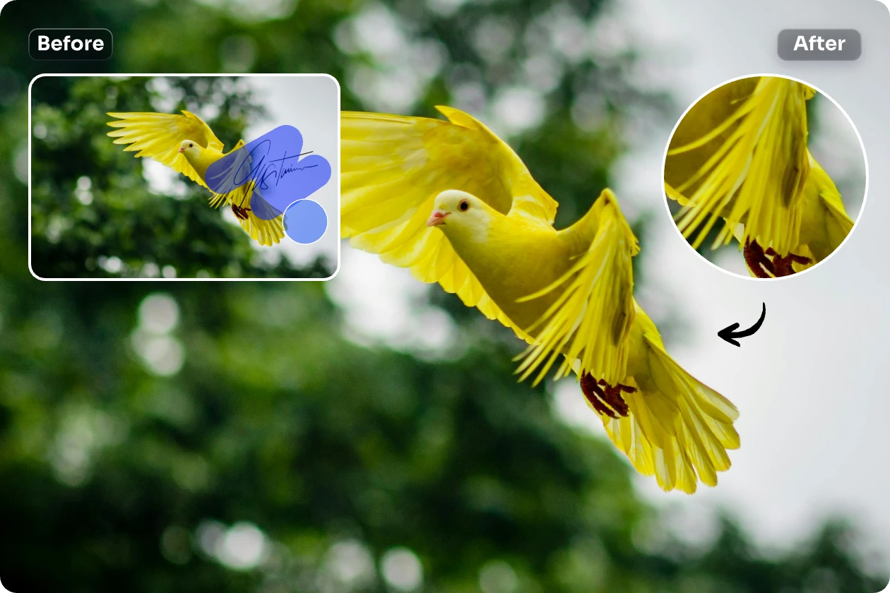 supprimer la signature de l'image de l'oiseau jaune avec des détails nets