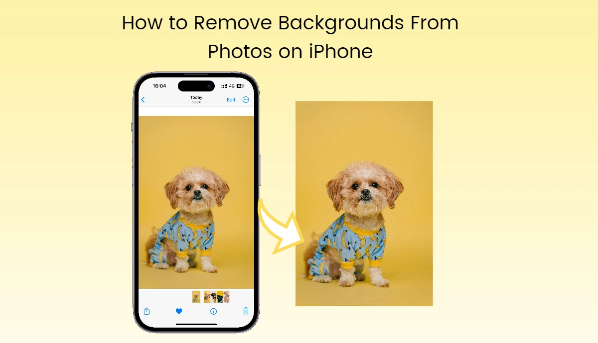 wie man Hintergründe von Fotos auf dem iPhone entfernt