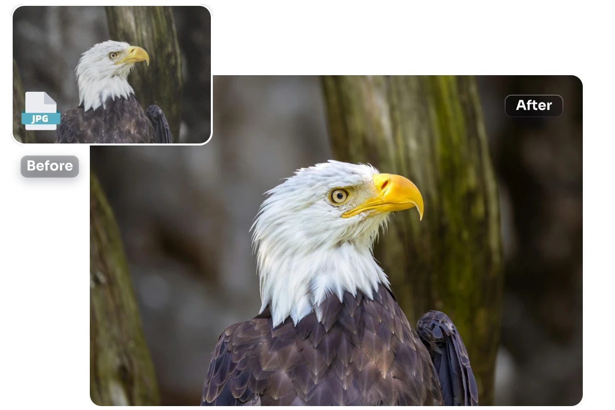 Free AI Denoiser: Remove Noise and Grains from Image Online - AI Ease