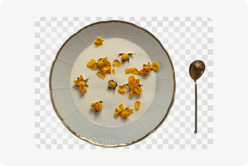 png color changer removes the background from the palate