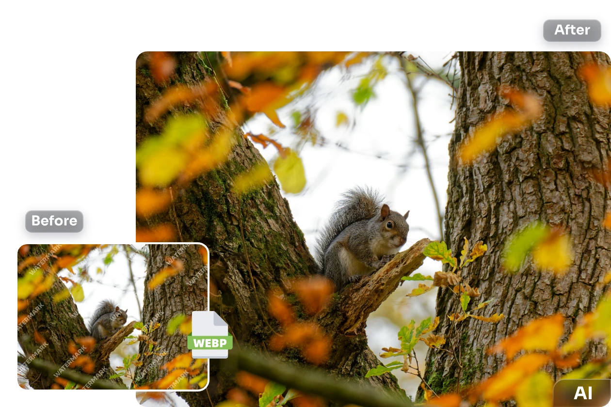 supprimer le filigrane en plein écran d'une image webp d'un écureuil grimpant à un arbre avec ai
