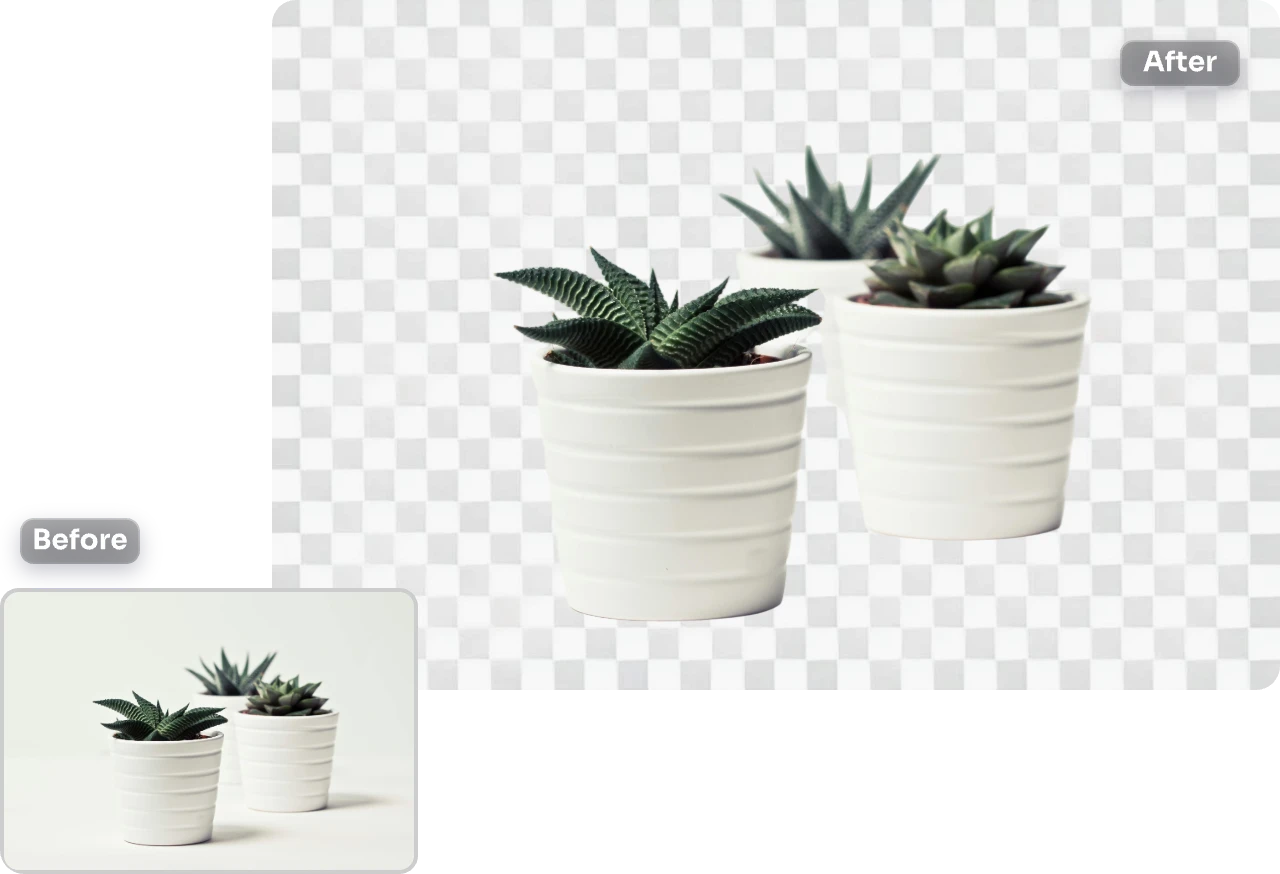 antes e depois do contraste da remoção do fundo da fotografia de duas plantas