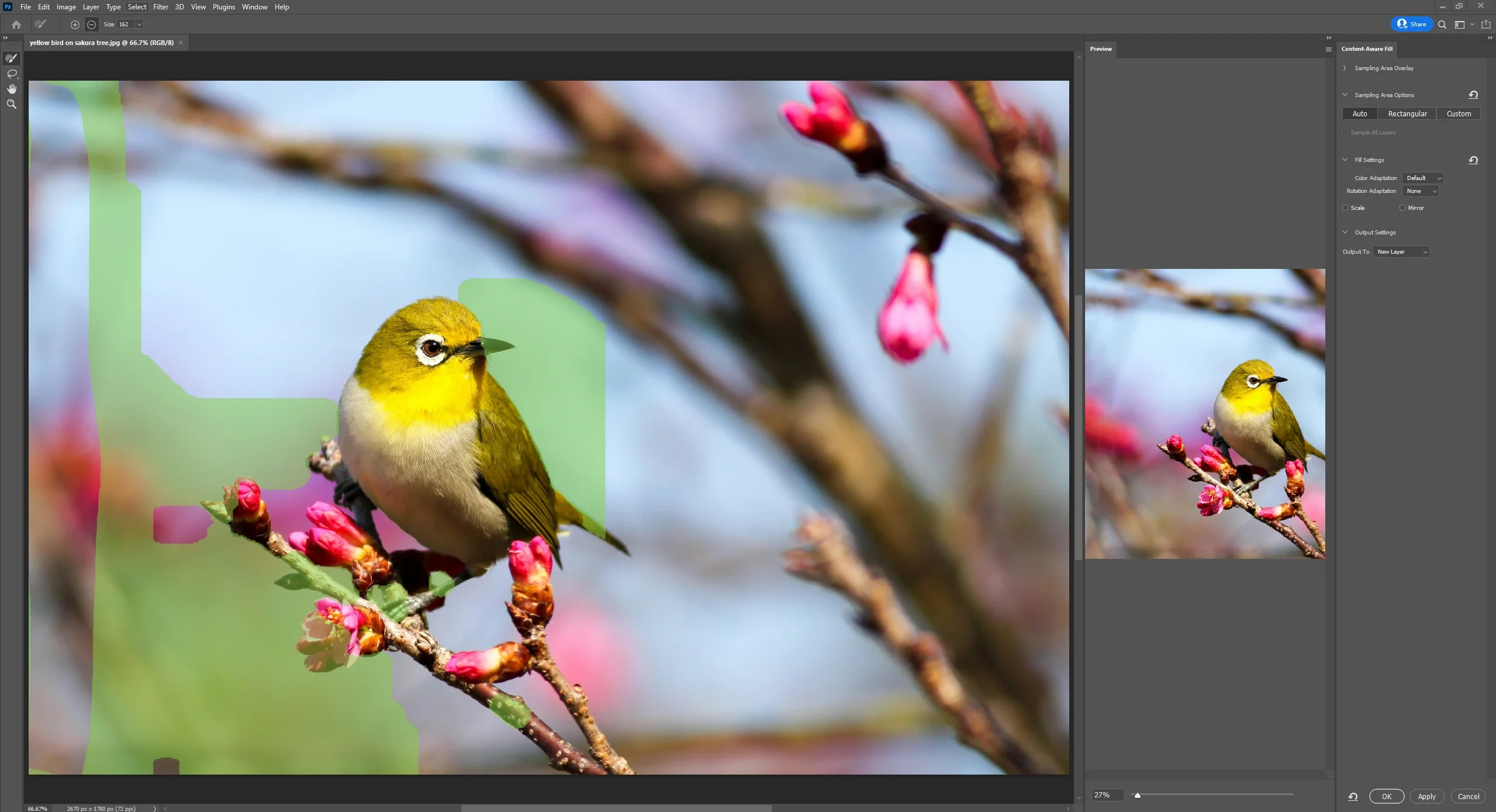Klick-die-Inhalte-bewusst-füllen-und-den-Hintergrund-erweitern-Bereich-des-Bildes-in-photoshop