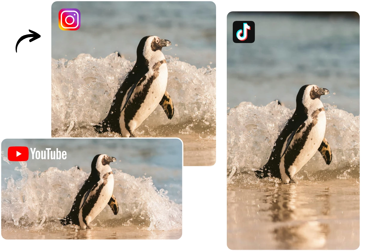 Estendete l'immagine di un pinguino sulla spiaggia in orizzontale o in verticale con ai image extender