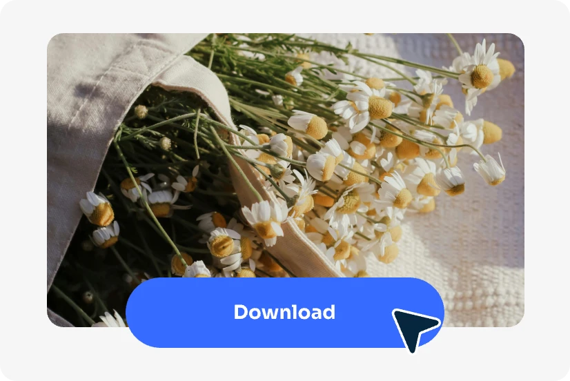 obtener una foto nítida y descargar
