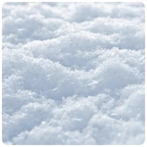 icy ground