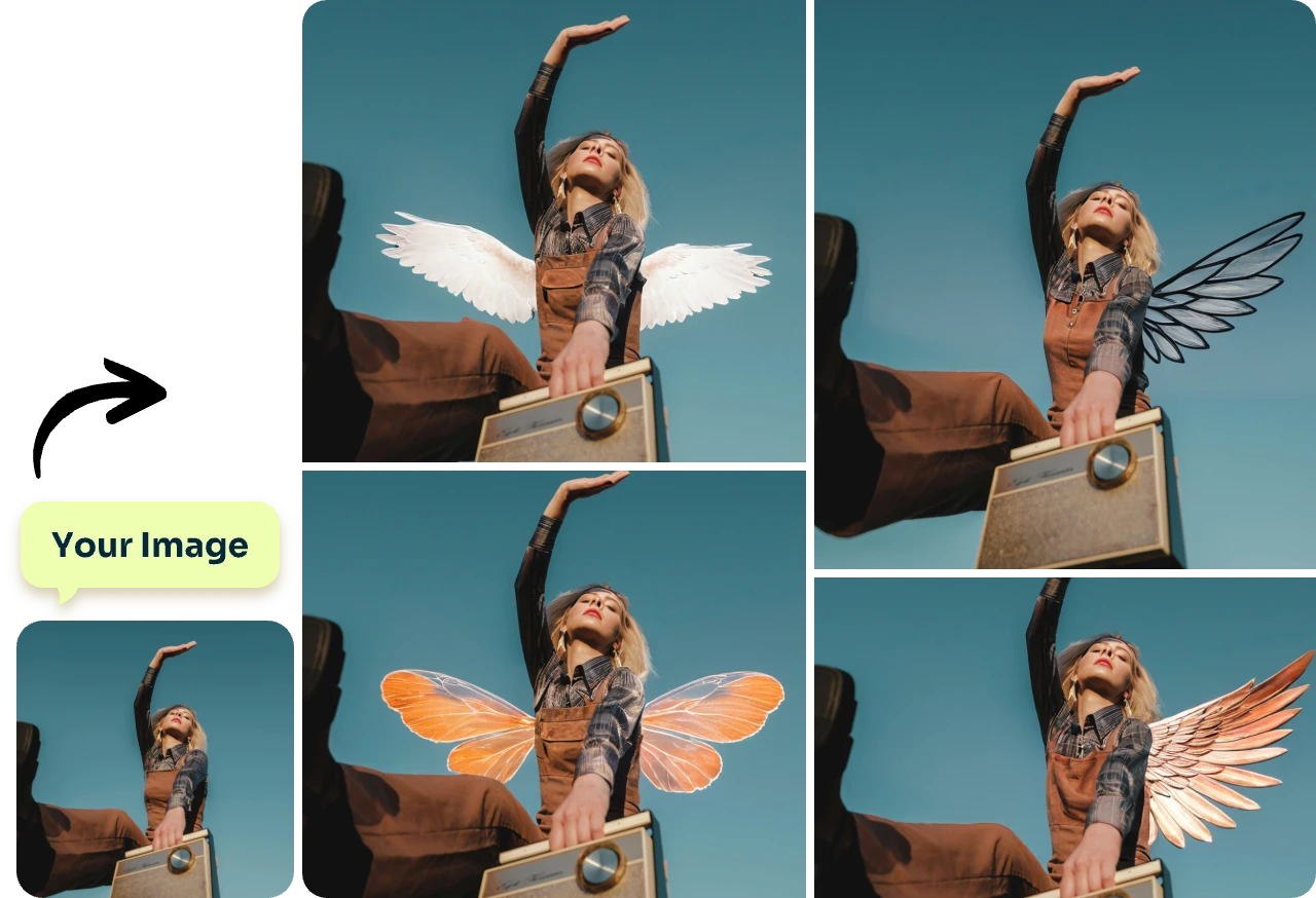 original photo with four images with a white black orange and a colorful wings