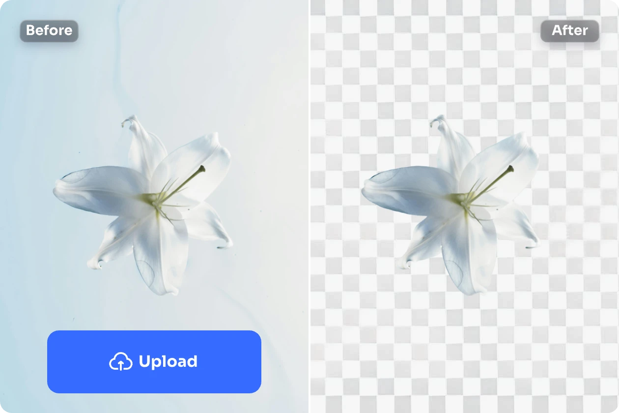 remover o fundo de uma imagem de flor branca