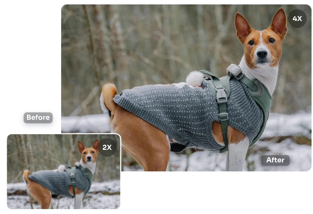 convierte una foto de un perro en 2× y 4× con aiease hd photo converter
