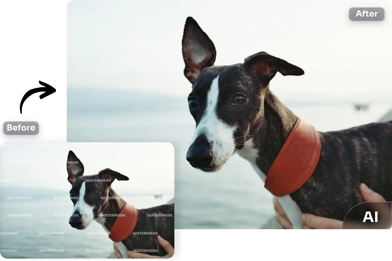 eliminar la marca de agua de pantalla completa de la imagen del perro usando AI Ease auto removedor de marca de agua