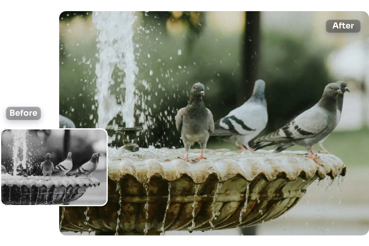 haz que una foto antigua se vea más nítida y colorida con ai ease image sharpener