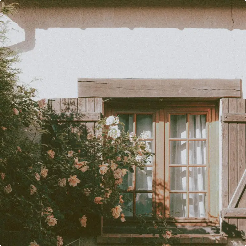 a countryside window covered by flowers