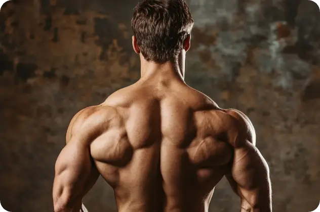 ai latissimus dorsi reforçado
