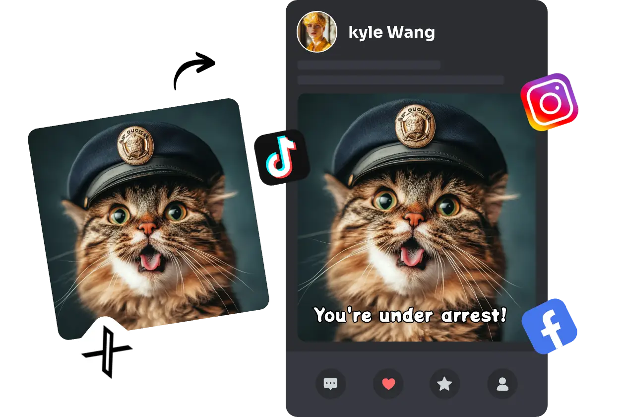mème de chat partagé sur les médias sociaux