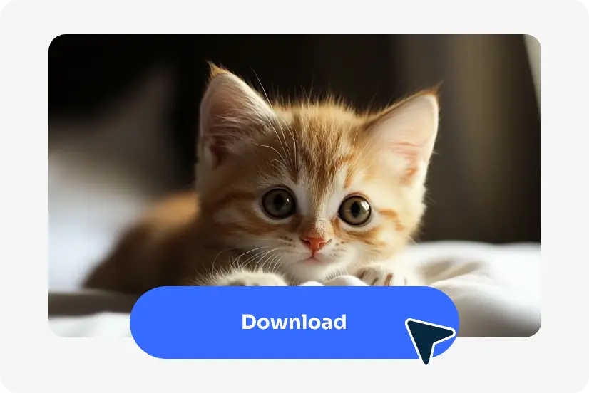 télécharger la photo du chat