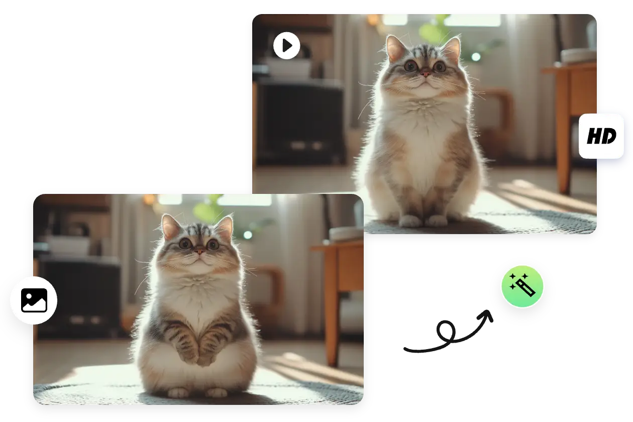 téléchargez une image fixe de chat et animez-la avec ai photo animator