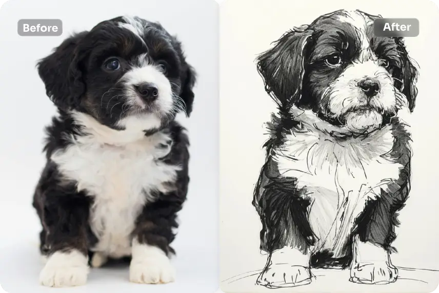 convert a dog image into pencil sketch