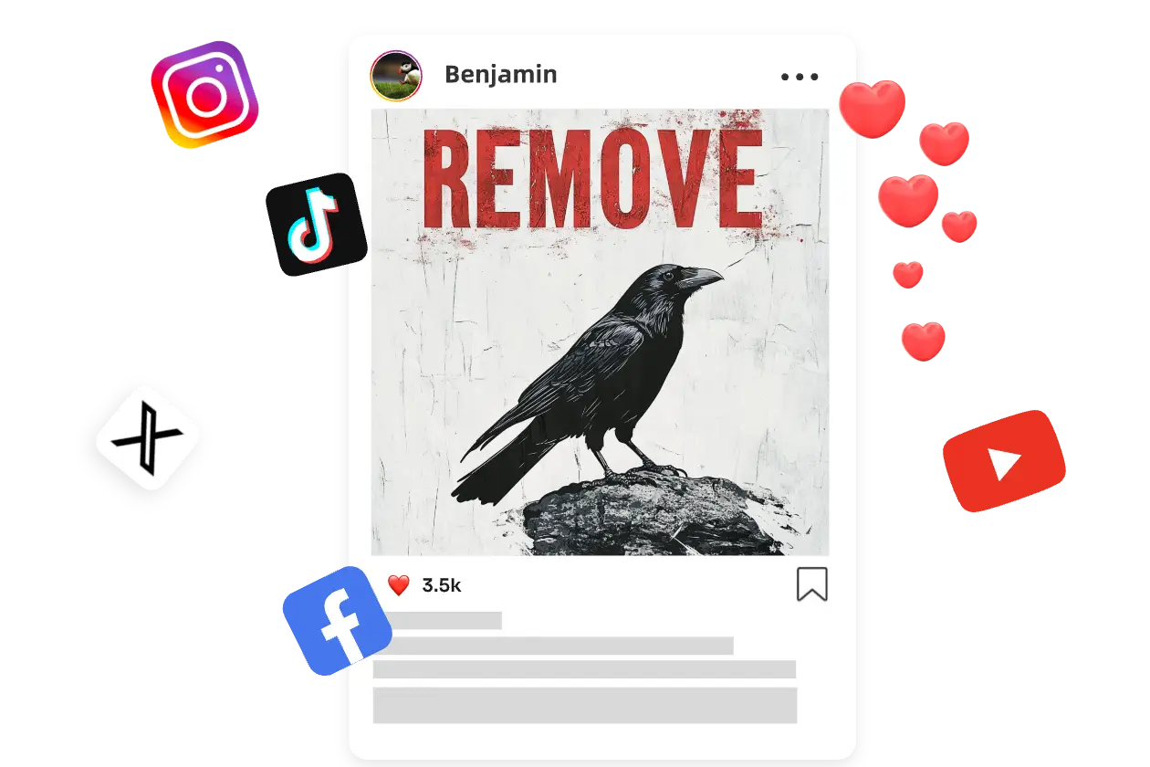 publicar una imagen de un pájaro en blanco y negro con texto en las redes sociales