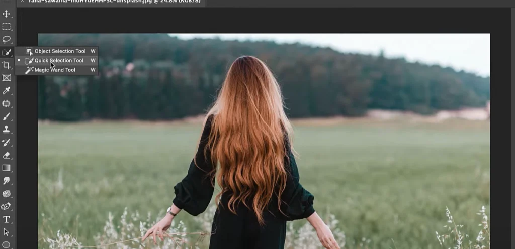 select quick selection tool in photoshop