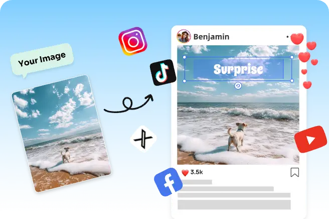 compartir la imagen de un perro de pie en la playa con texto en las redes sociales