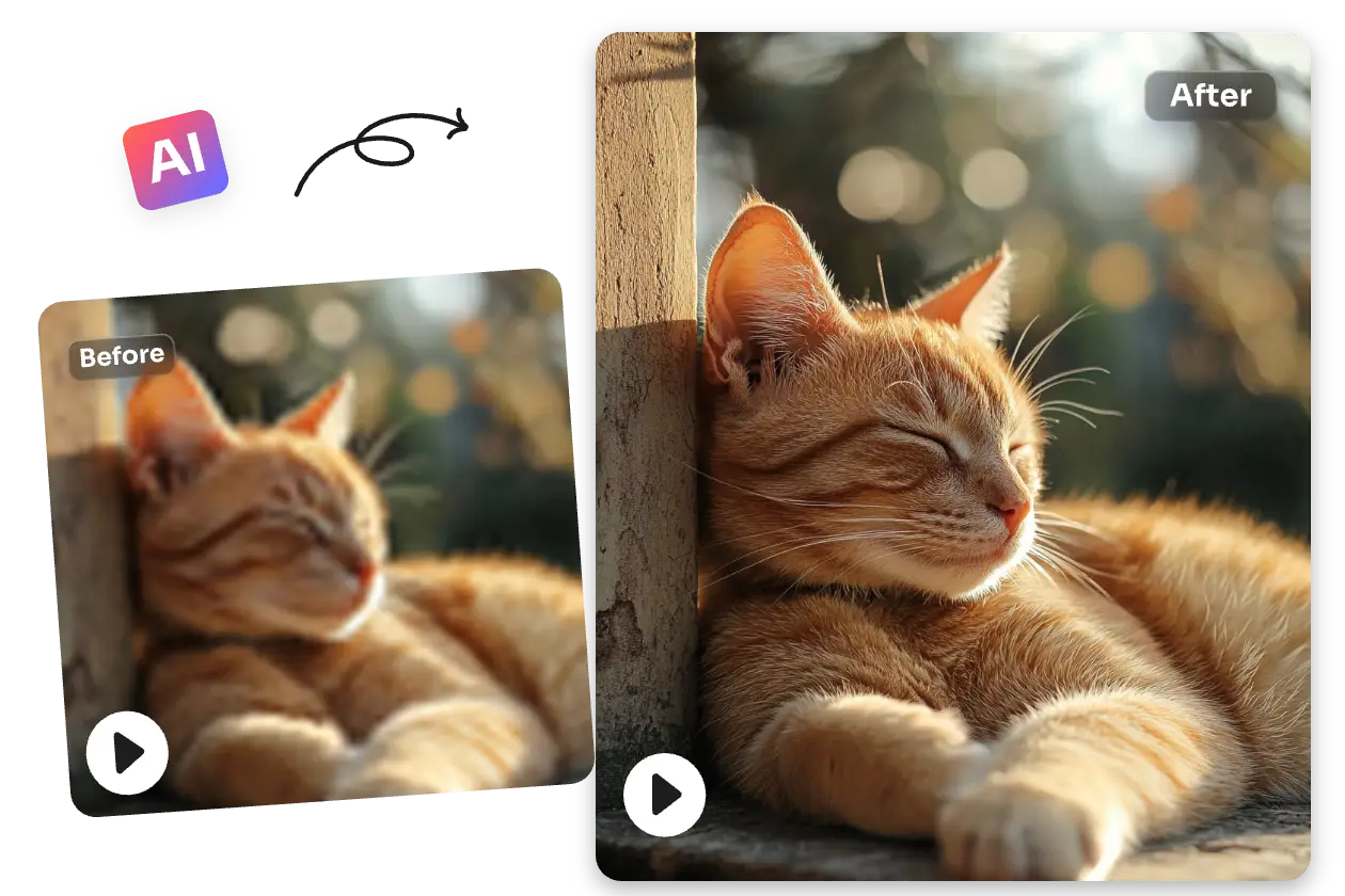 unblur a cat video with ai ease