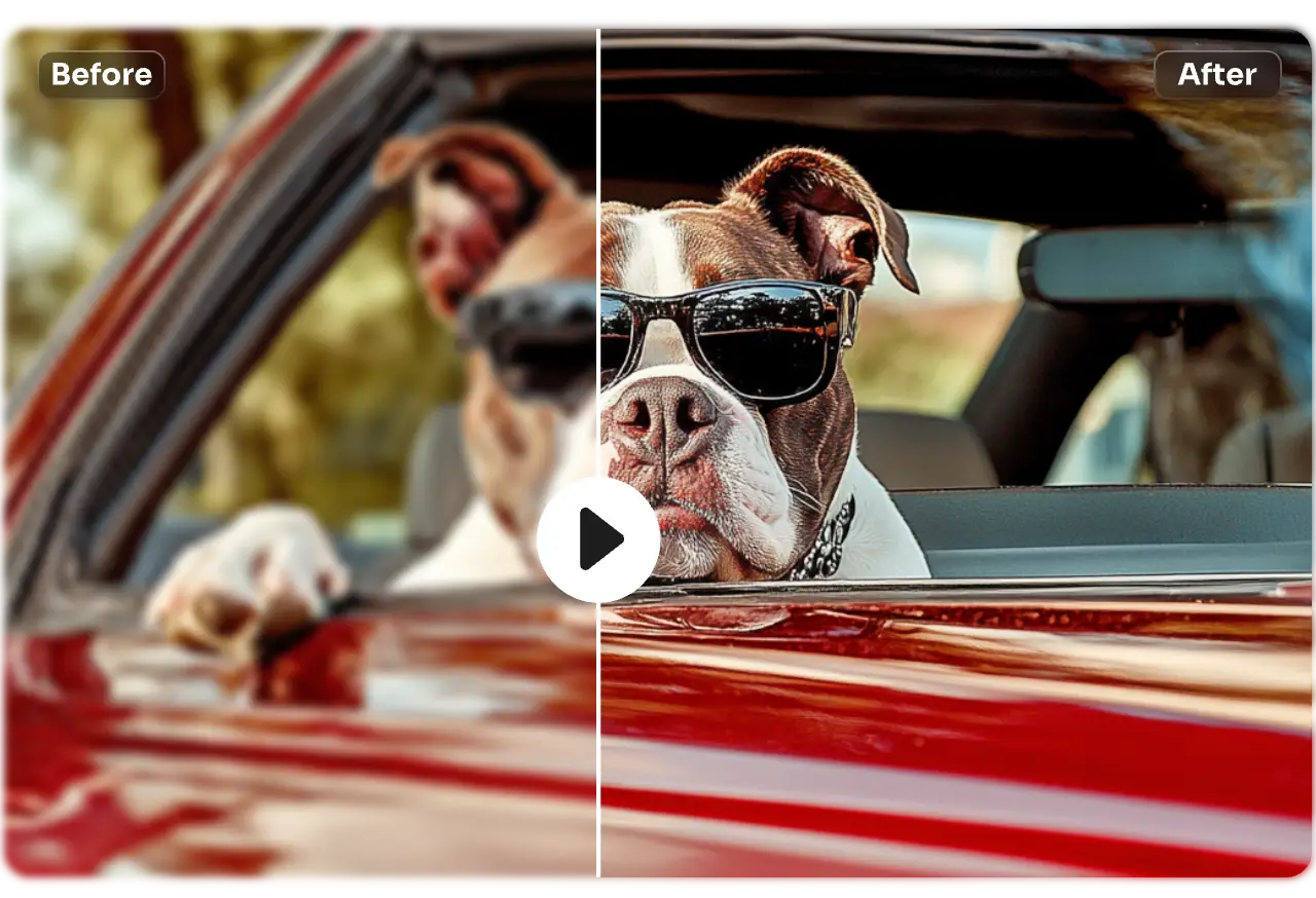 unblur a dog video with ai ease