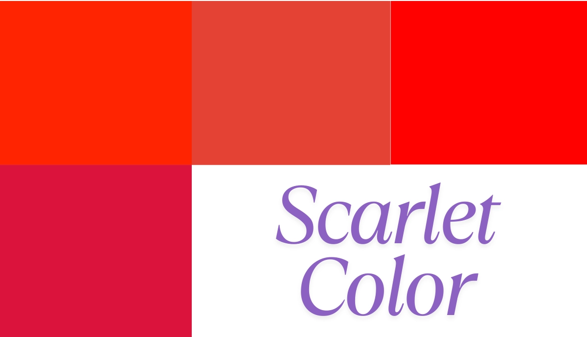 estandarte de color escarlata