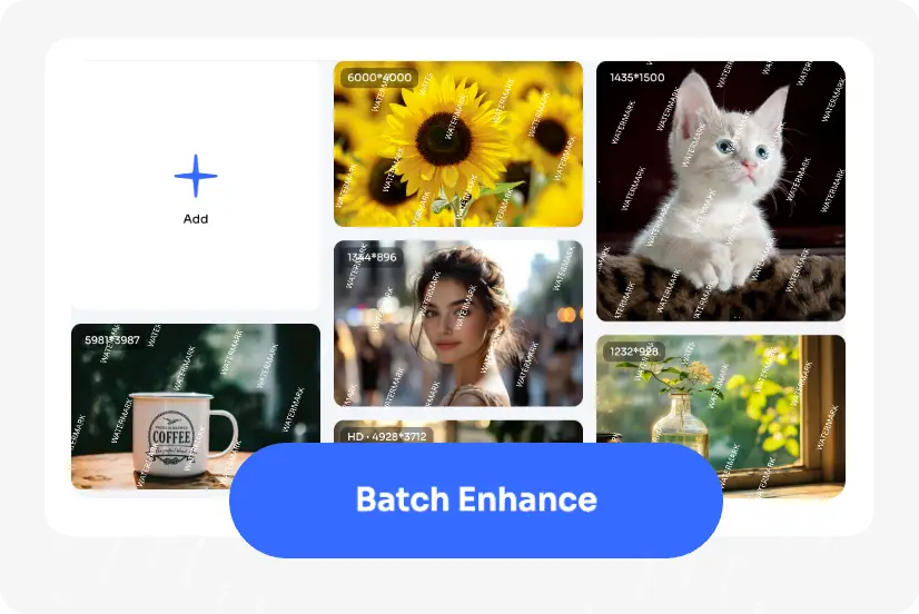 batch watermark removal process with various image examples