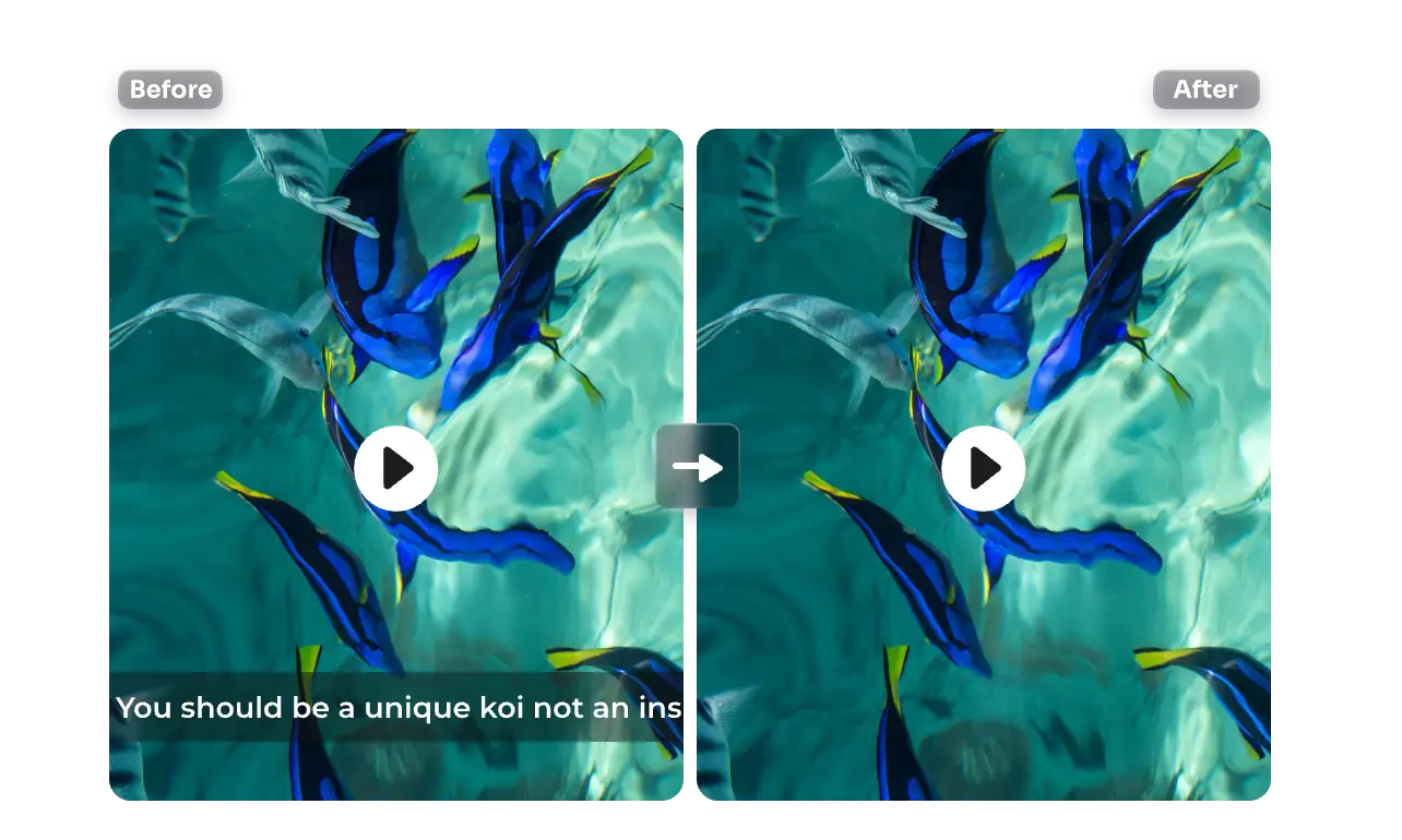 before and after contrast for removing subtitles from the documentary film