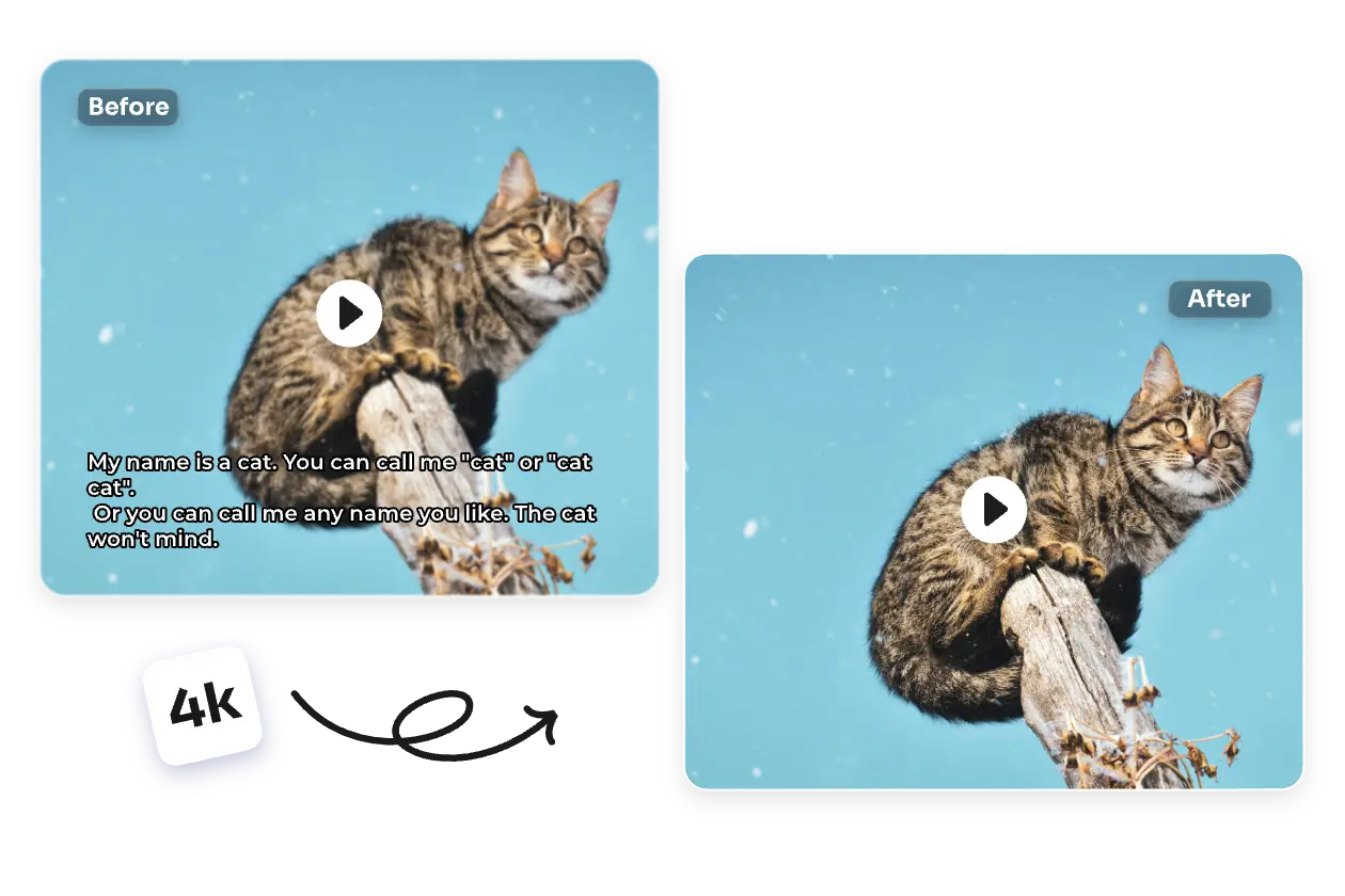 before and after contrast for removing the unwanted subtitles from the animal film