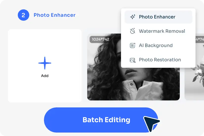 escolha as ferramentas de lote que pretende no nosso editor de fotografias em lote