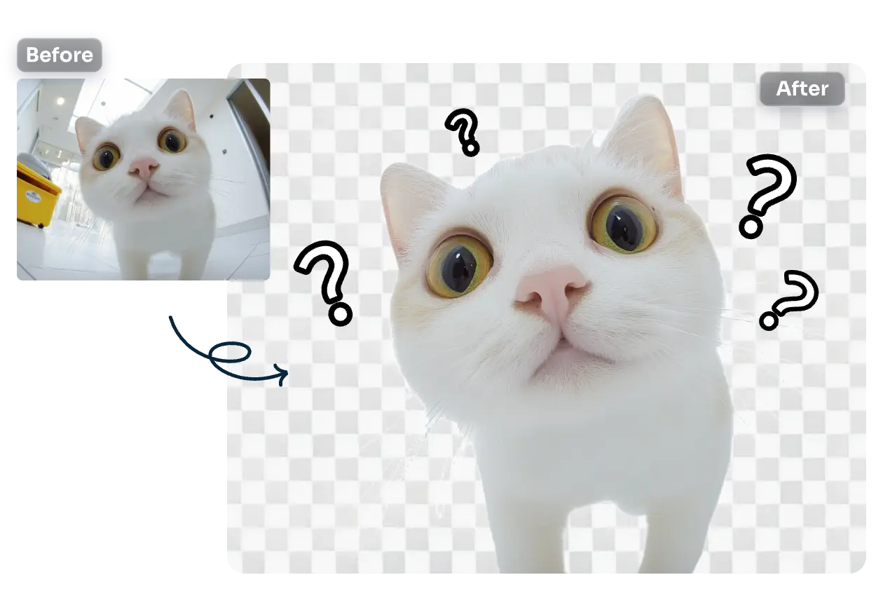 create question cat sticker from image in AI Ease's online image to sticker tool