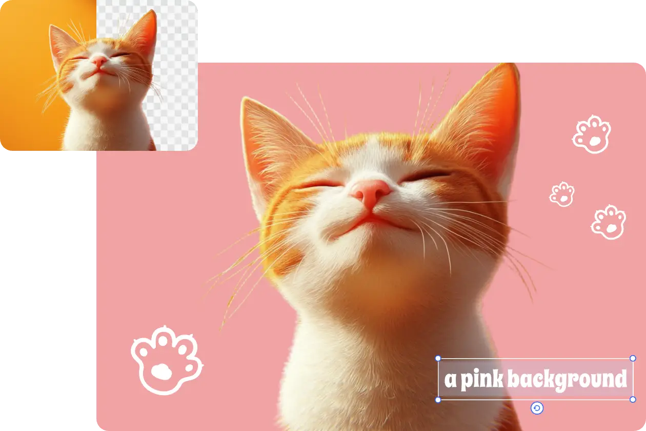 写真の背景をピンクにする