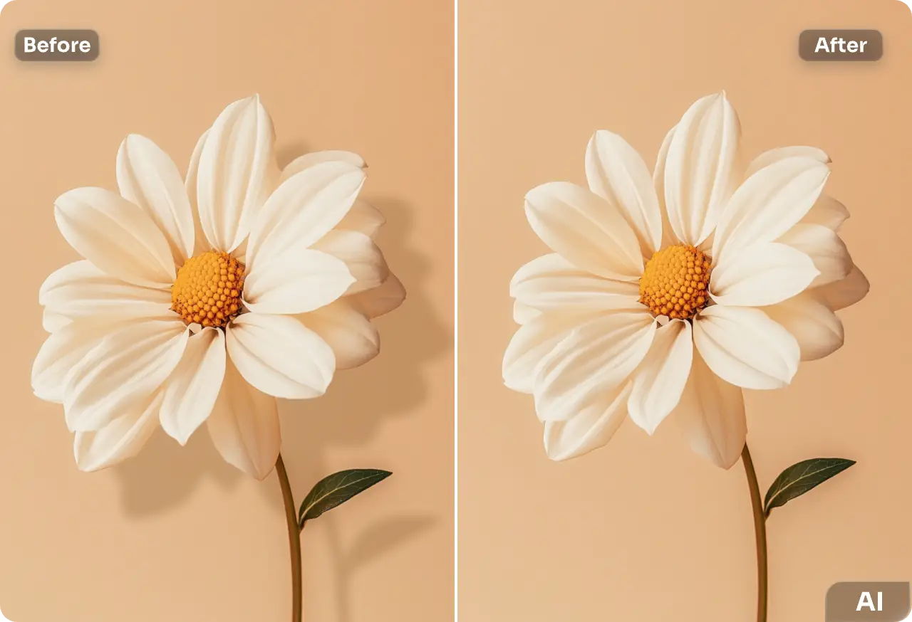 remove shadow from photo of a white flower in aiease