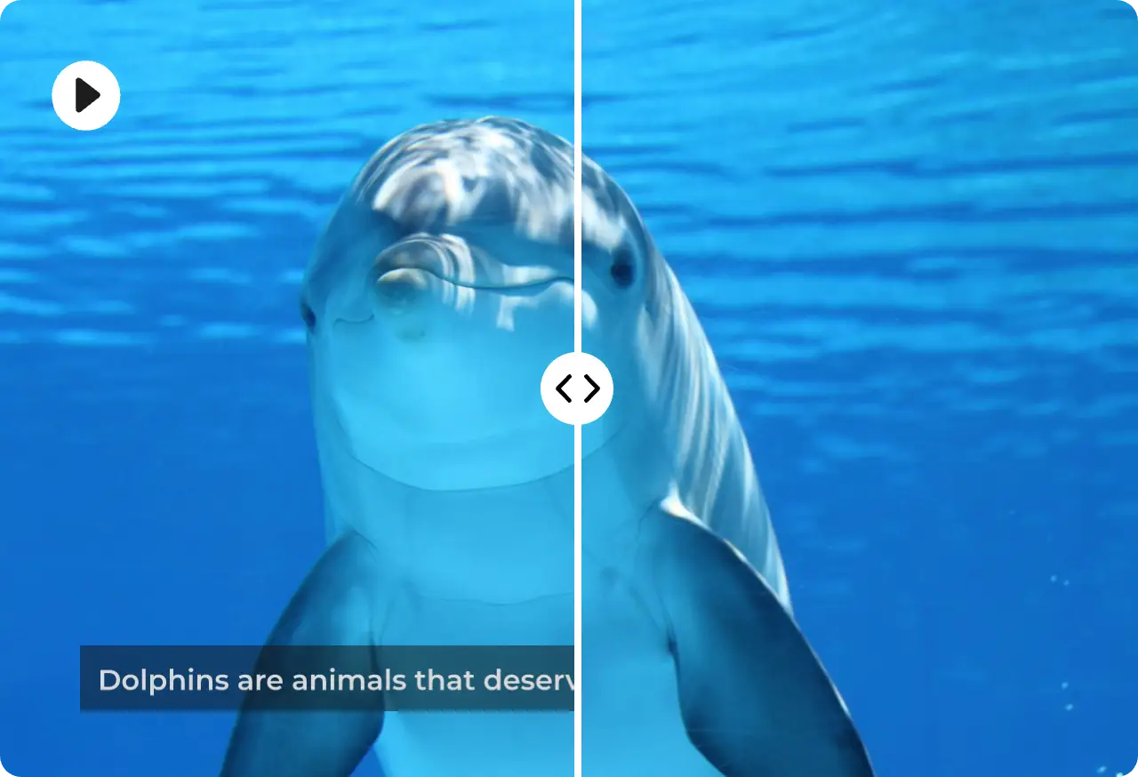 remove subtitle watermark from dophine video in AI Ease