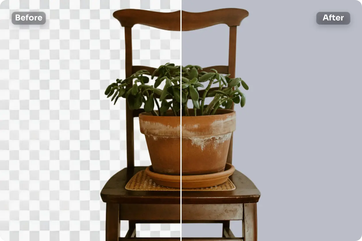 the before and after effect of choose photo background to grey background