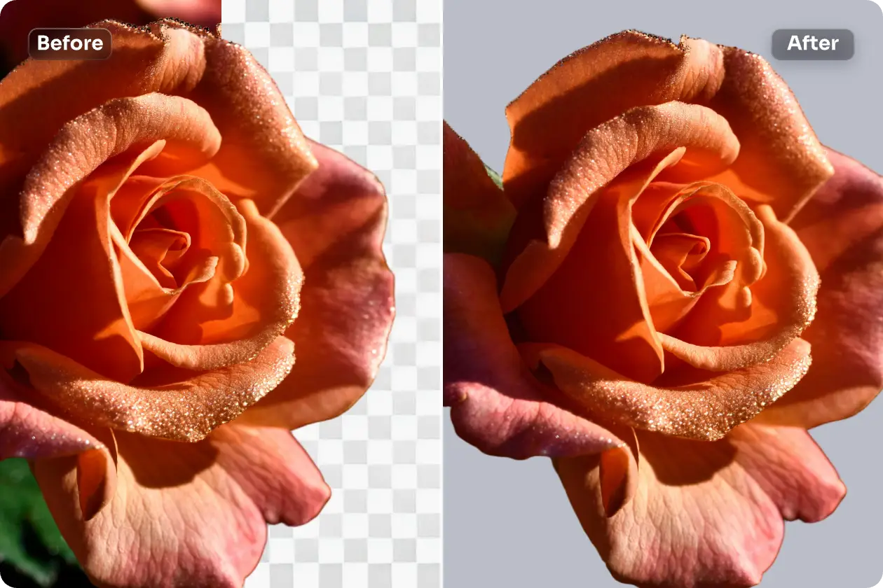 o efeito antes e depois de escolher uma fotografia de flor para um fundo cinzento