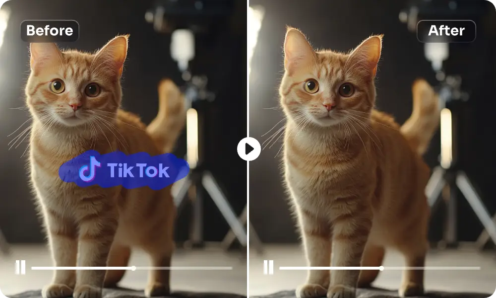 the before and after effect on removing the tiktok logo from the video