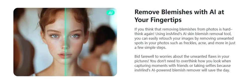 insMind 的瑕疵清除劑
