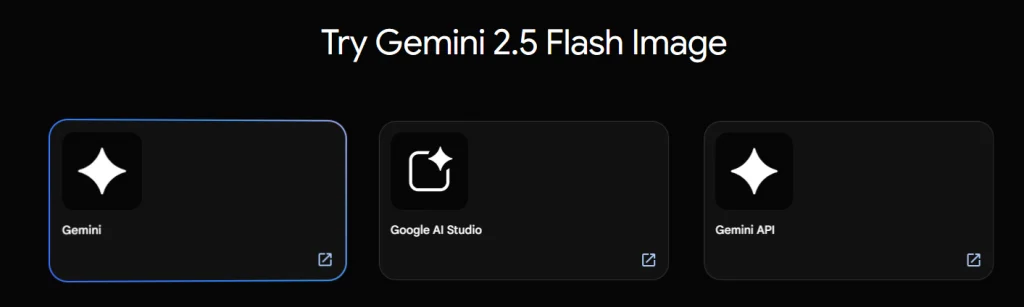 interface of gemini 2.5 flash image (google nano banana)